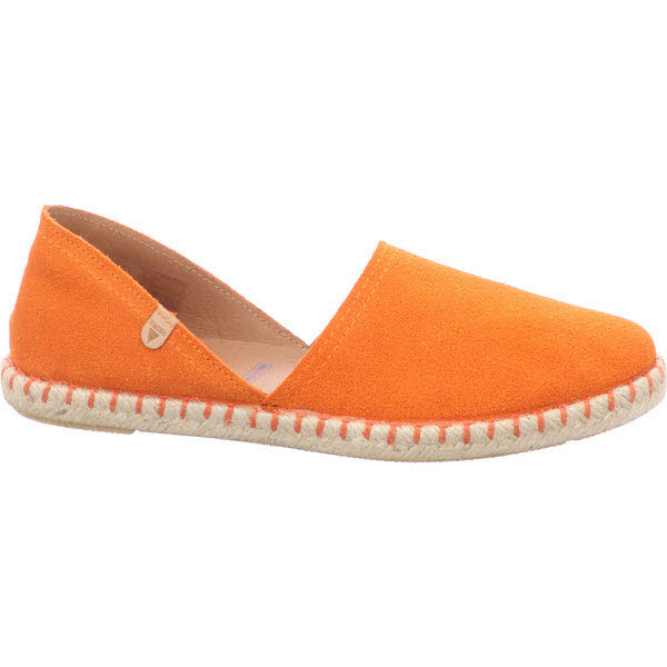 Verbenas orange