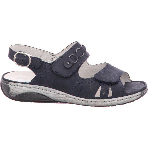 Waldlaeufer blau Bild 1 Waldlaeufer blau