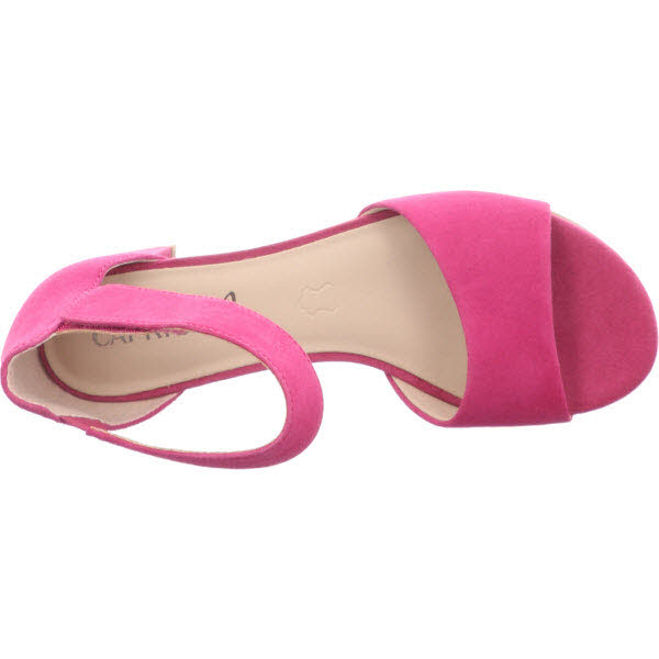 Caprice rosa/fuchsia Bild 4
