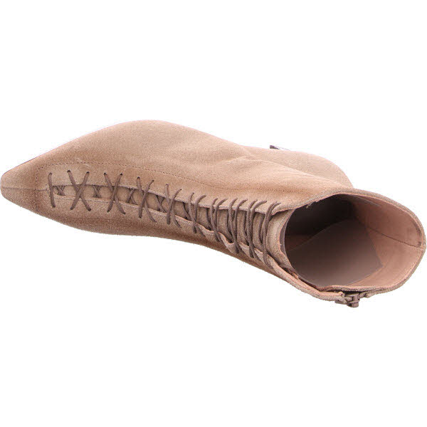 Hispanitas beige