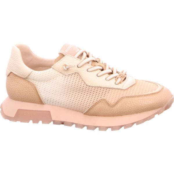 Hispanitas braun-kombi