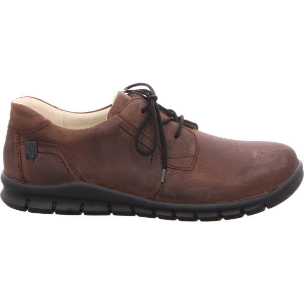 Waldlaeufer braun Bild 1 Waldlaeufer braun