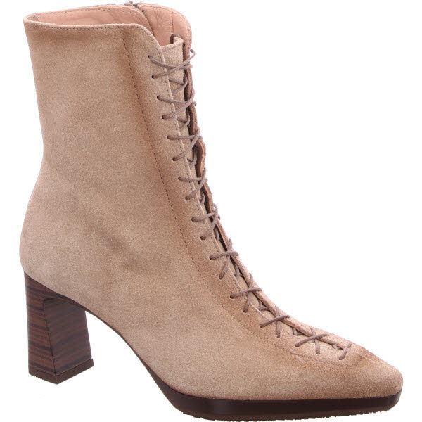 Hispanitas beige