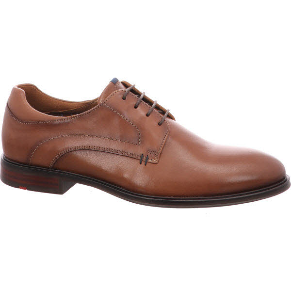 Lloyd braun Bild 1 Lloyd braun