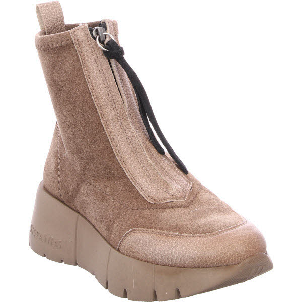 Hispanitas beige