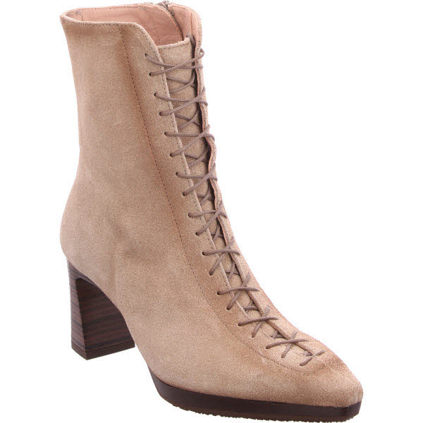 Hispanitas beige